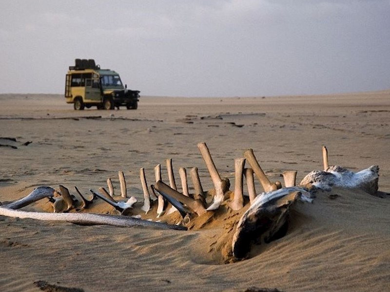 ساحل اسکلت، منطقه‌ای خطرناک در نامبیا
